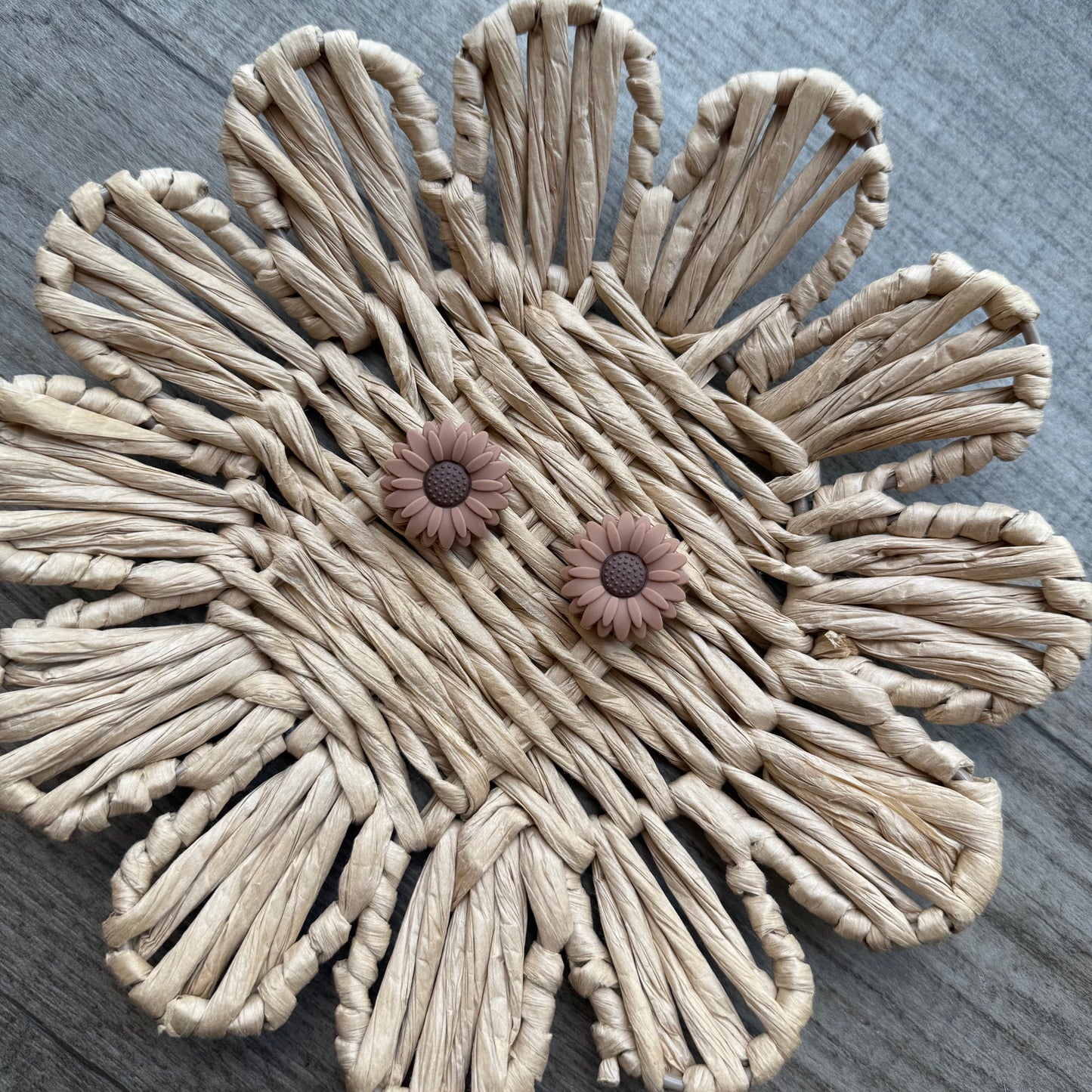 Brown sunflower