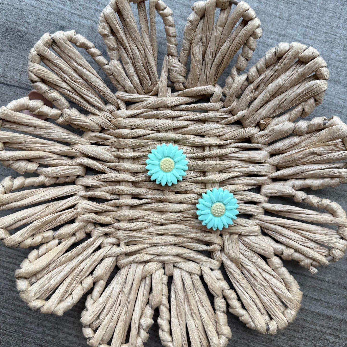 Teal sunflower
