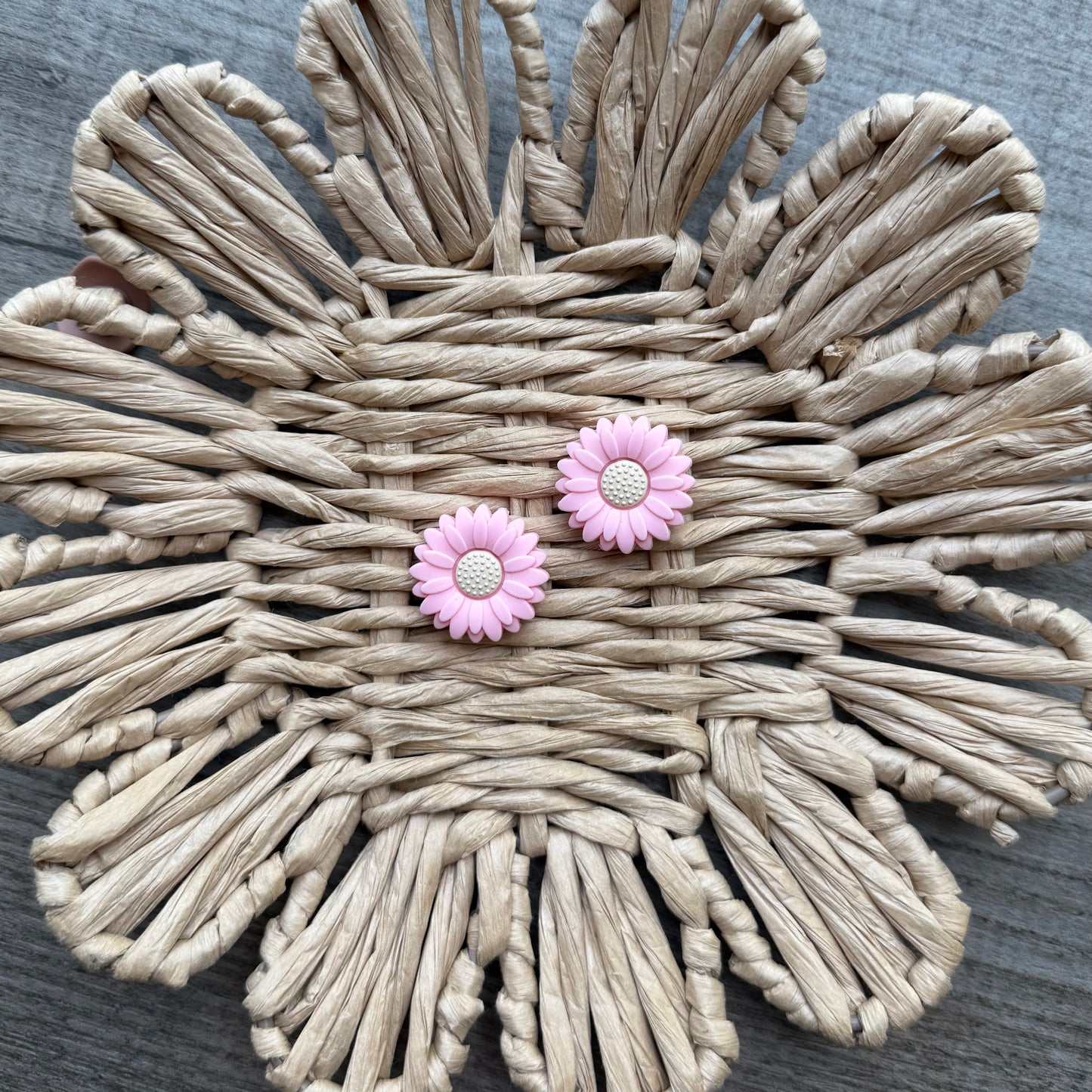 Pink sunflower